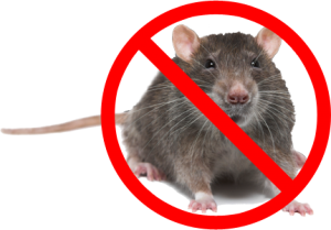 no_mice_sign