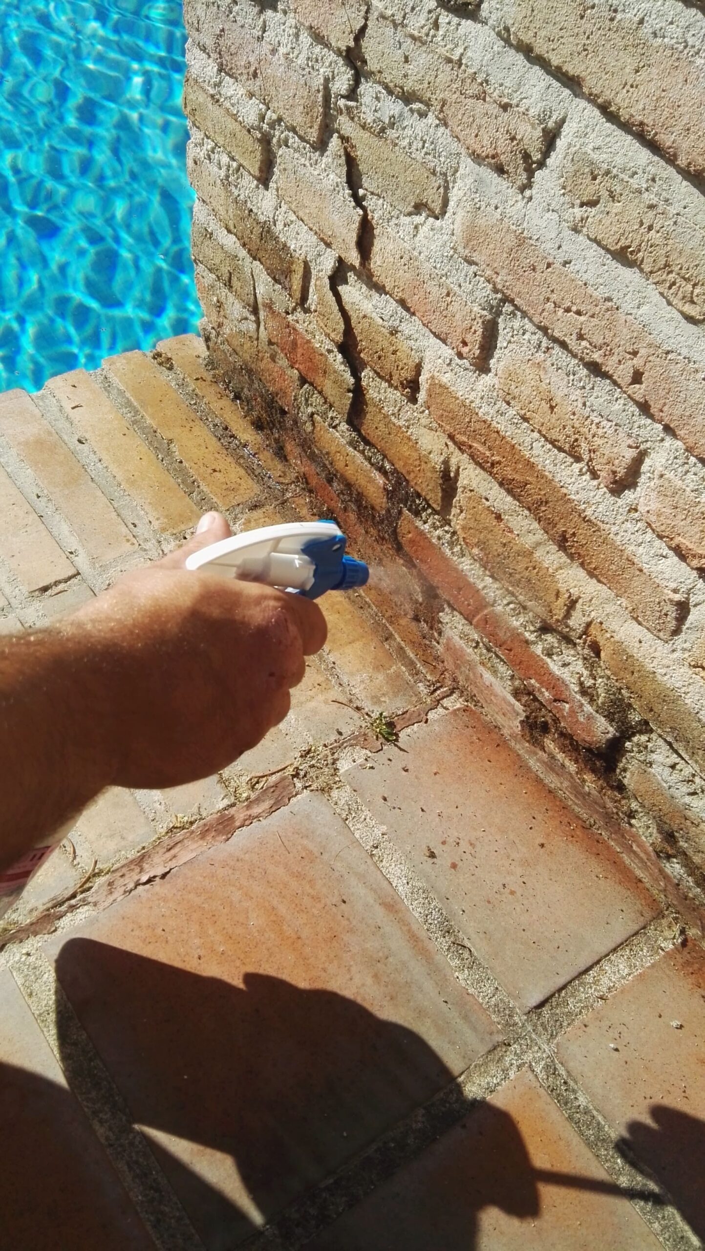 demostración limpieza con proquil Alca