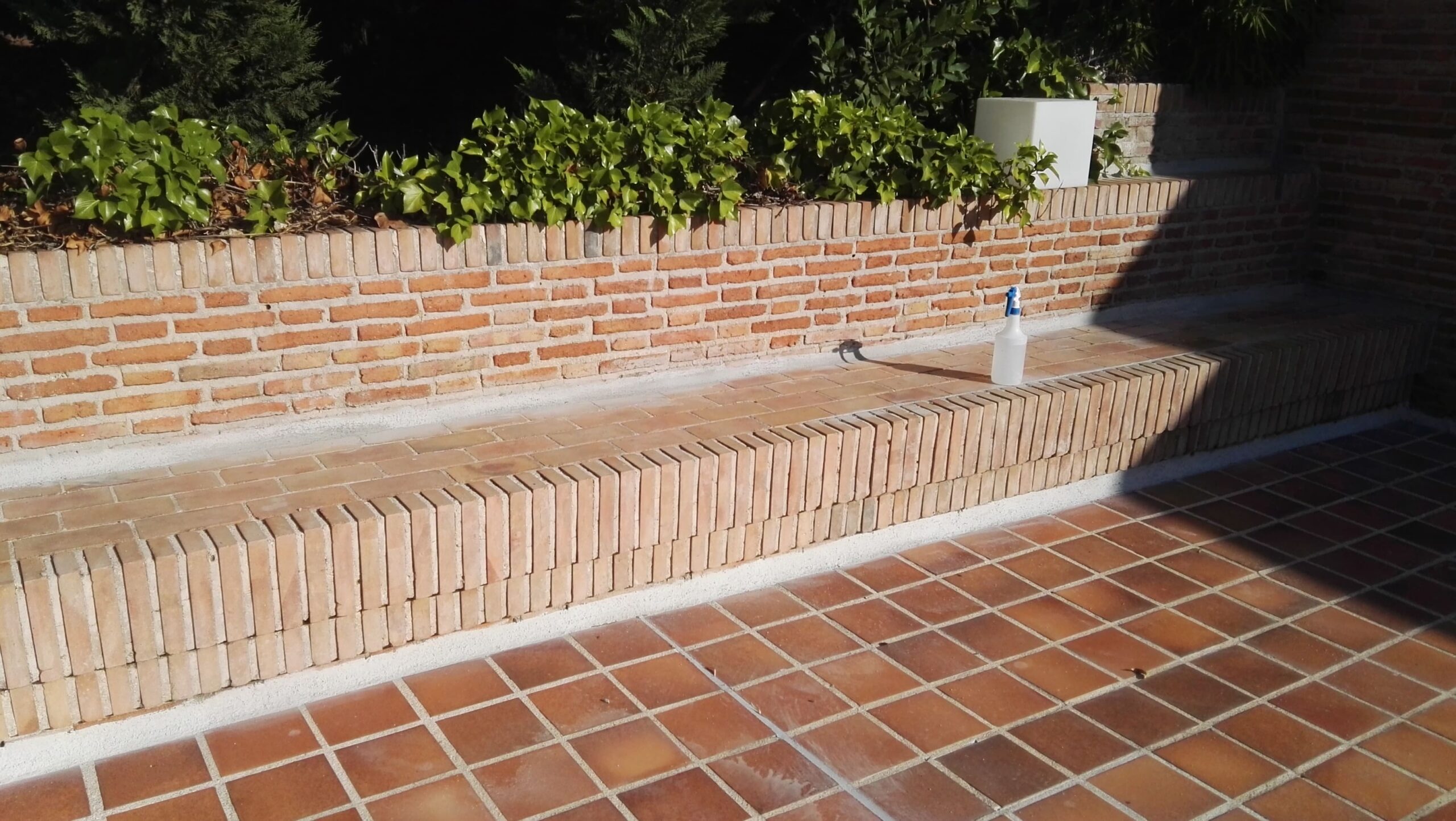demostración limpieza con proquil Alca