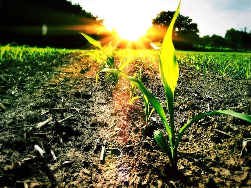 productos agrarios quimicos