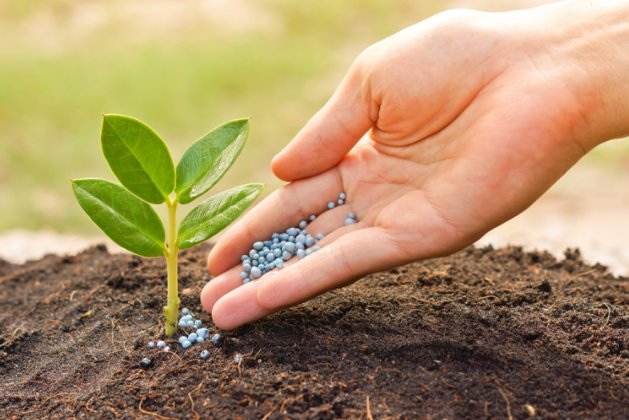 fertilizacion imagen nutrición vegetal