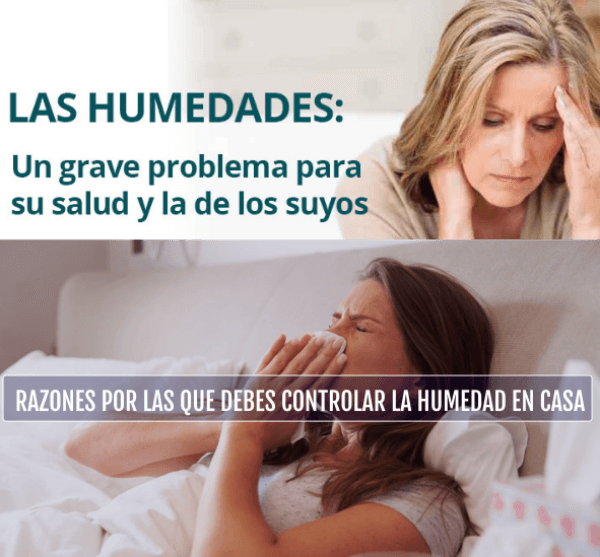 humedad